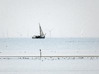 DSC06923 : Vlieland