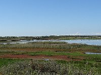 DSC06935  Kroon's Polders : Vlieland