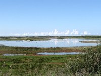 DSC06936 : Vlieland