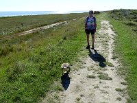 DSC06971 : Vlieland