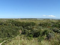 DSC07004 : Vlieland