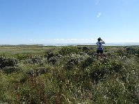 DSC07005 : Vlieland
