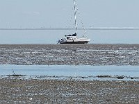 DSC07020  wad : Vlieland