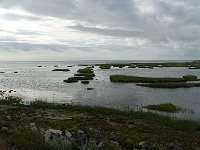 3 Terschelling