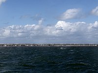 DSC07170  zeehondenbank : Terschelling, zeehonden