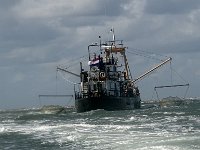 DSC07273  Sleepnet visser : Terschelling