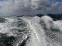 DSC07296 : Terschelling