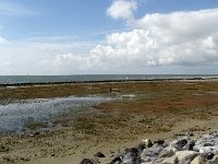 DSC07409 : Ameland