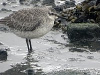 DSC07458 : Ameland. ka