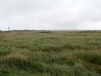 DSC07469 : Ameland