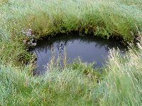 DSC07473 : Ameland