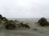 DSC07477  strand Oerd Noordzijde : Ameland
