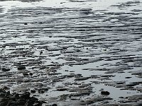 DSC07545 : Ameland
