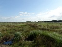 DSC07636 : Schiermonniksoog