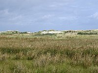 DSC07637  kobbeduinen : Schiermonniksoog, kobbeduinen
