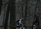 DSC 0411