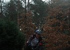 DSC 0557