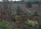 DSC 0701