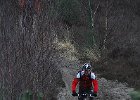 DSC 0713