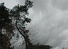 DSC 0737