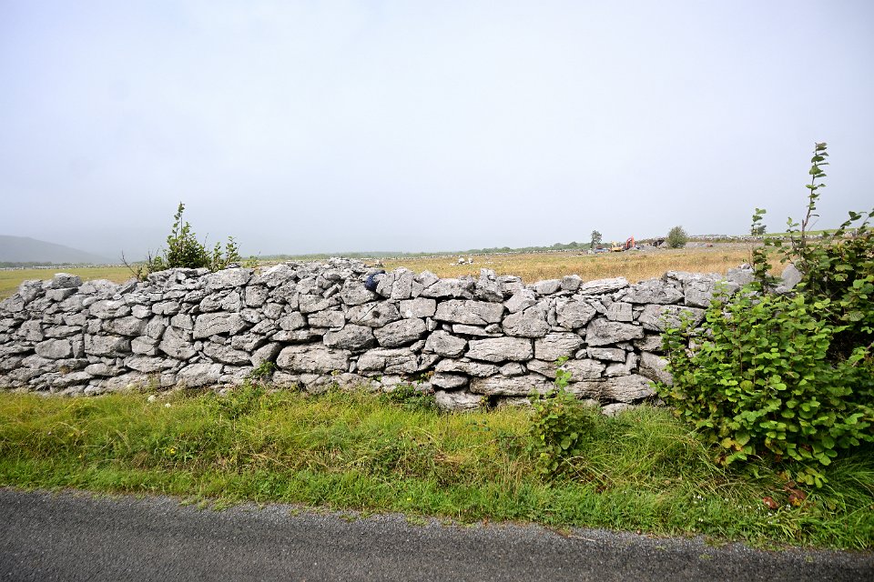 Z50_5278