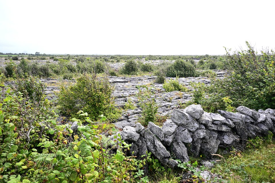 Z50_5280