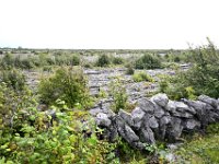 Z50_5280  "The Burren" : fietsvakantie, Ierland