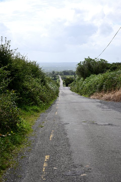 Z50_5325