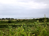 Z50_5321 : fietsvakantie, Ierland