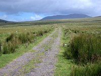 Z50_5449 : fietsvakantie, Ierland