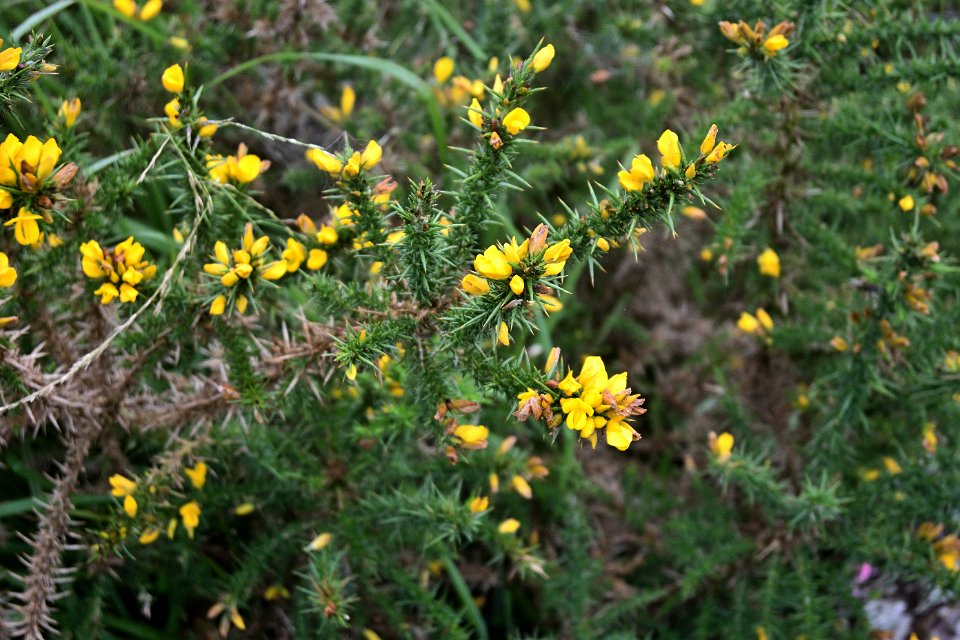 Z50_5470