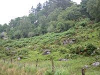 Z50_5471 : fietsvakantie, Ierland