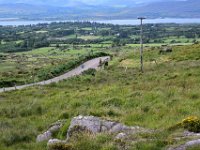 Z50_5493  De laatste helling van de dag met uitzicht over de Kenmare river : fietsvakantie, Ierland
