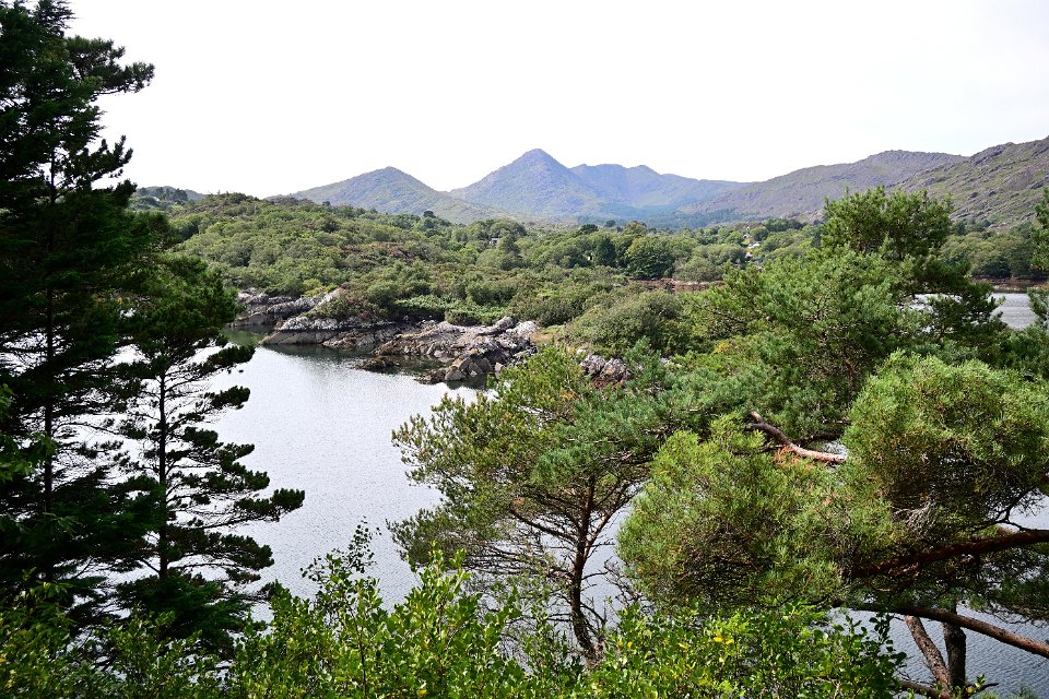 Z50_5587