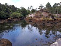 20220827_125327  Glengariff Harbour : fietsvakantie, Ierland