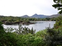 Z50_5581 : fietsvakantie, Ierland