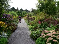 Z50_5598  Walled garden : fietsvakantie, Ierland