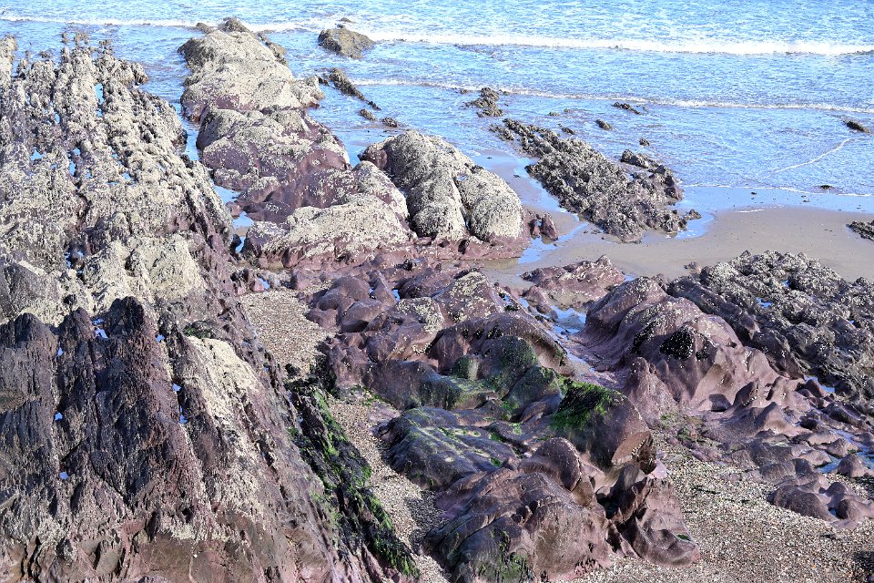 Z50_5729