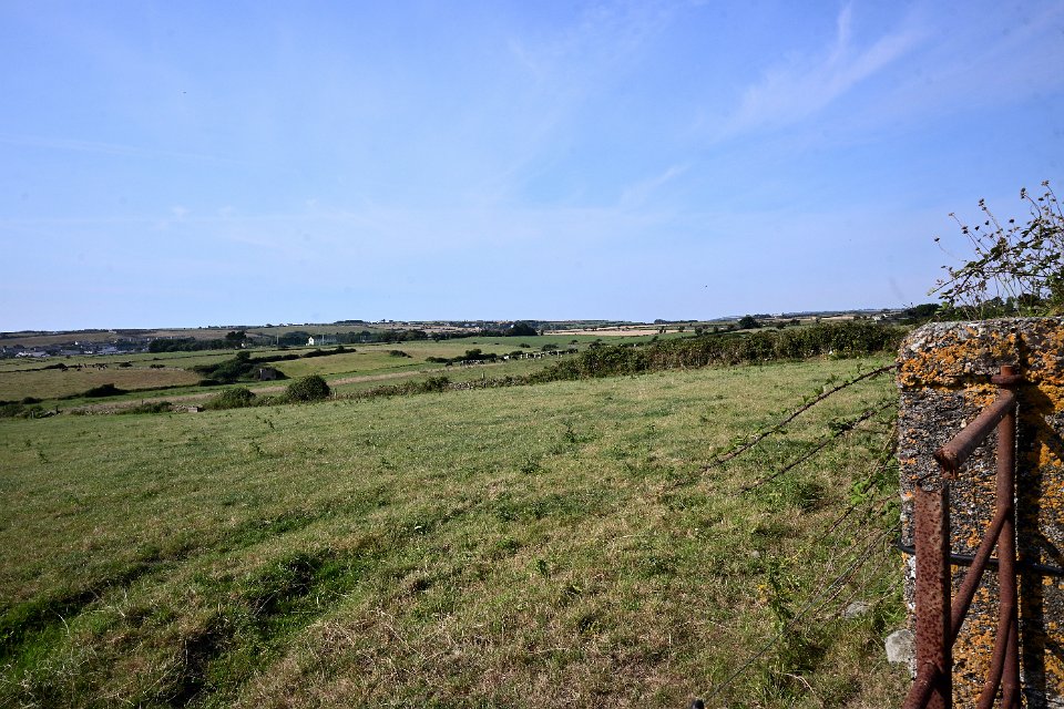 Z50_5793