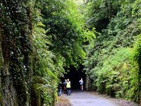 Z50_5807  Begin van de Ballyvoyle tunnel van de Waterford Greenway fietspad : fietsvakantie, Ierland