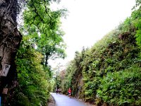 Z50_5812  Deelnemers aan de runs : fietsvakantie, Ierland
