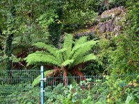 Z50_5820 : fietsvakantie, Ierland