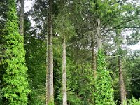 Z50_5823 : fietsvakantie, Ierland