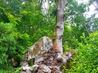 Z50_5864 : fietsvakantie, Ierland