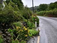 Z50_5865  Stromend regenwater langs en over de weg : fietsvakantie, Ierland