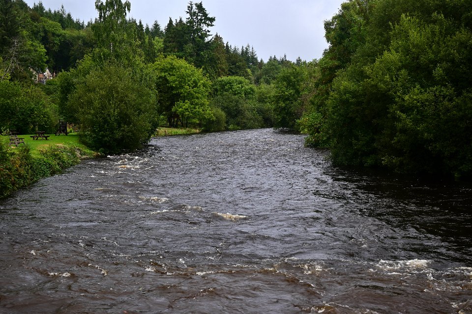 Z50_5884