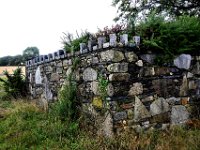 Z50_5901 : fietsvakantie, Ierland