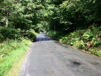 Z50_5903 : fietsvakantie, Ierland