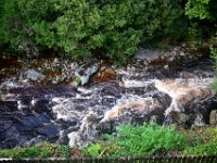 Z50_5904  Ons uitzicht vanuit onze kamer : fietsvakantie, Ierland