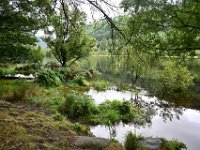 Z50_5938  Lower Lake : fietsvakantie, Ierland, Glendalough
